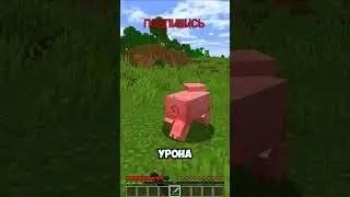 Как использовать булаву в Майнкрафт