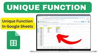 How to Use UNIQUE Function in Google Sheets with Real Life Example