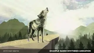 Wise Wolf Wines - Case Study - Motion By Design