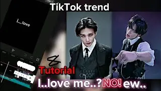 ✧˚ Tiktok trend 