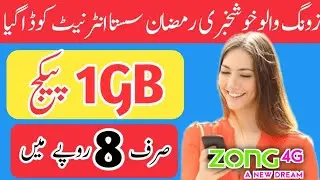 Zong cheap Internet package | Zong 2 hour internet package |Internet package | packages | daily pkg