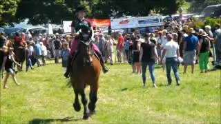 FMA Veitsroth 10.07.2016