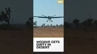 Why the 