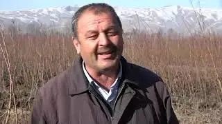 Нихолпарвар Восеъ
