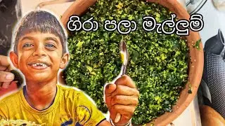 රසම රස ගිරා පලා මැල්ලුමක් හදමුද?? | Gira pala recipe - Cook taste Asmr