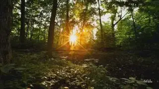 UCast - Nova (Original Mix) [Music Video] [Silent Shore]