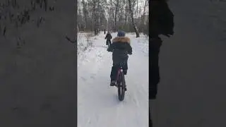 Близнецы осваивают новый велосипед