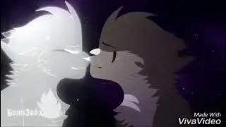 коты воители /AMV\ Миру мир (белогривка)