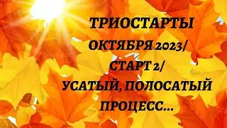 ТРИОСТАРТЫ ОКТЯБРЯ 2023/ СТАРТ 2. УСАТЫЙ, ПОЛОСАТЫЙ ПРОЦЕСС....