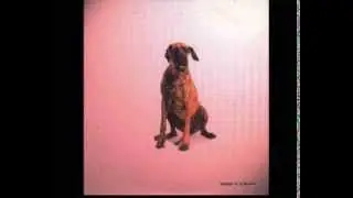 Dakar & Grinser   I Wanna Be Your Dog
