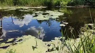 На речке