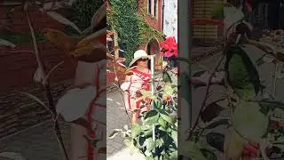 ВООООТ 😲 ОНА ИДЁТ🤩 Поля Ли