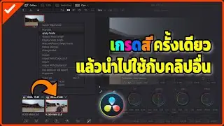 เกรดสีแล้วครั้งเดียว นำไปใช้กับคลิปอื่นๆ ด้วยการใช้ Grab still
