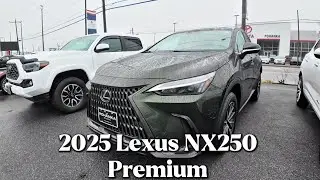 2025 Lexus NX250 Premium Walk Through