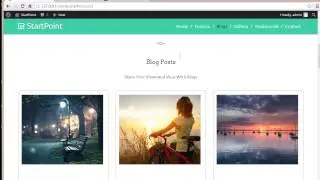 StartPoint Theme Option Panel