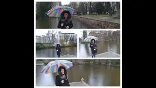 #Прогулка_2. #Весна_в_феврале. #Деревья_цветут. #Walk_in_Frankfurt_23_02_2022.