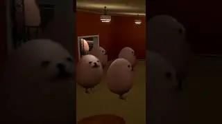 chef eggdog