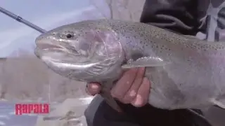 Best Artificial Bait Substitute for Salmon or Trout Egg Sacks | Rapala Fishing Tips