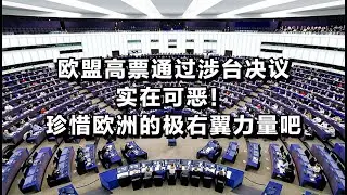 欧盟高票通过涉台决议，实在可恶！珍惜欧洲的极右翼力量吧