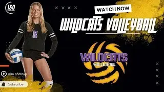 CHS Wildcats Volleyball 2022