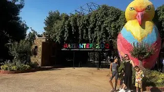 🐒🐅🐻🐘HAYVANAT BAHÇESİ VLOG🐐🦓🦁🦍