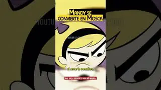 MITAD MANDY MITAD MOSCA