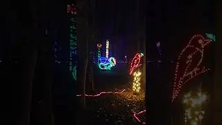 Christmas lights part 4