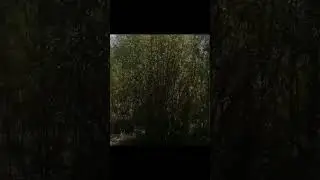 Бл, как же конфортно гулять по таким местам 😩