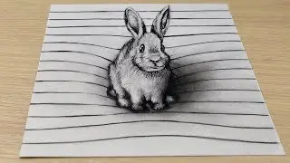 3D drawing How to draw a rabbit