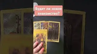Будет ли новое знакомство?#тароонлайн #тарорасклад #раскладтаро #mara #таро #tarot #таролог #гадание