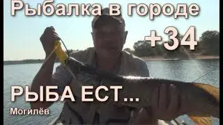 Рыбалка в городе. ЖАРА под 30.