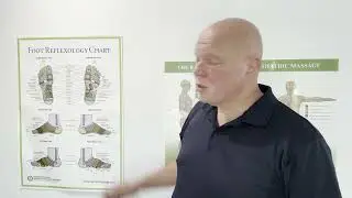 Foot reflexology posters and Raynor massage posters on sale
