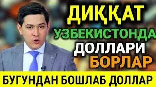 ДОЛЛИРИ БОРЛАР ТЕЗ КЎРСИН. ЎЗБЕКИСТОНДА ЭРТАДАН БОШЛАБ ДОЛЛИР...