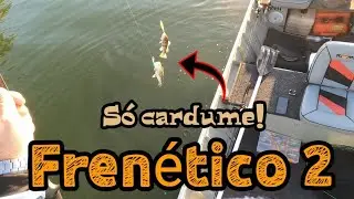 Achei o Frenético 2! Só cardume de Tucunaré!