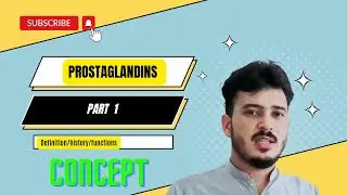 What are prostaglandins|functions of prostaglandins 