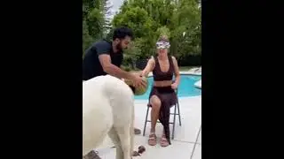 Чел хорош: 
