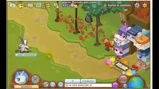 animal jam