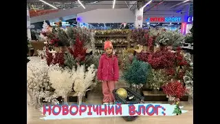 НОВОРІЧНИЙ ВЛОГ!!! ГОТУЄМОСЬ ДО СВЯТ!!!