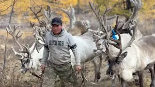 Lost Turks of the steppe. Tsaatan | Short documentary.