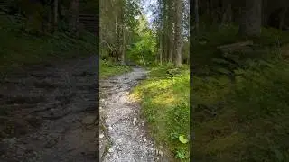 Switzerland! 🇨🇭 The Alps! Shattenhalb! / Пути-дороги! 10.07.2023 