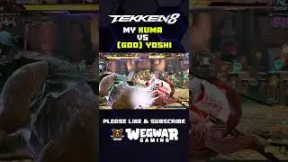 Tekken 8 | my Kuma VS  Yoshi (God of Destrucion) 351,612 Prowess