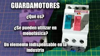 Los guardamotores . Los mejores amigos de los motores ....