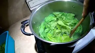 processing mustard greens