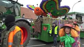 Carneval in Damme 2023 - Traditions-Fastnachts-Umzug Teil 11