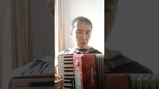 О, мое солнце (O sole mio) на аккордеоне