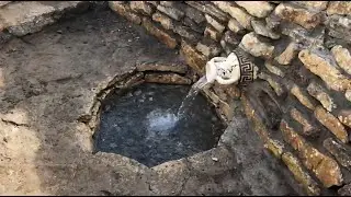 Продаем готовые фермерские хозяйства в Агропарке Долина мечты