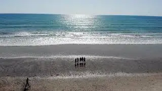 aldinga_dronie