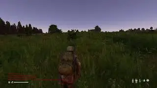Dayz Duo