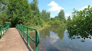 42. Зеленоград. Никольский пруд. Июль. 2021