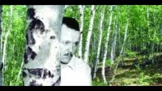 Евгений Зубов - 